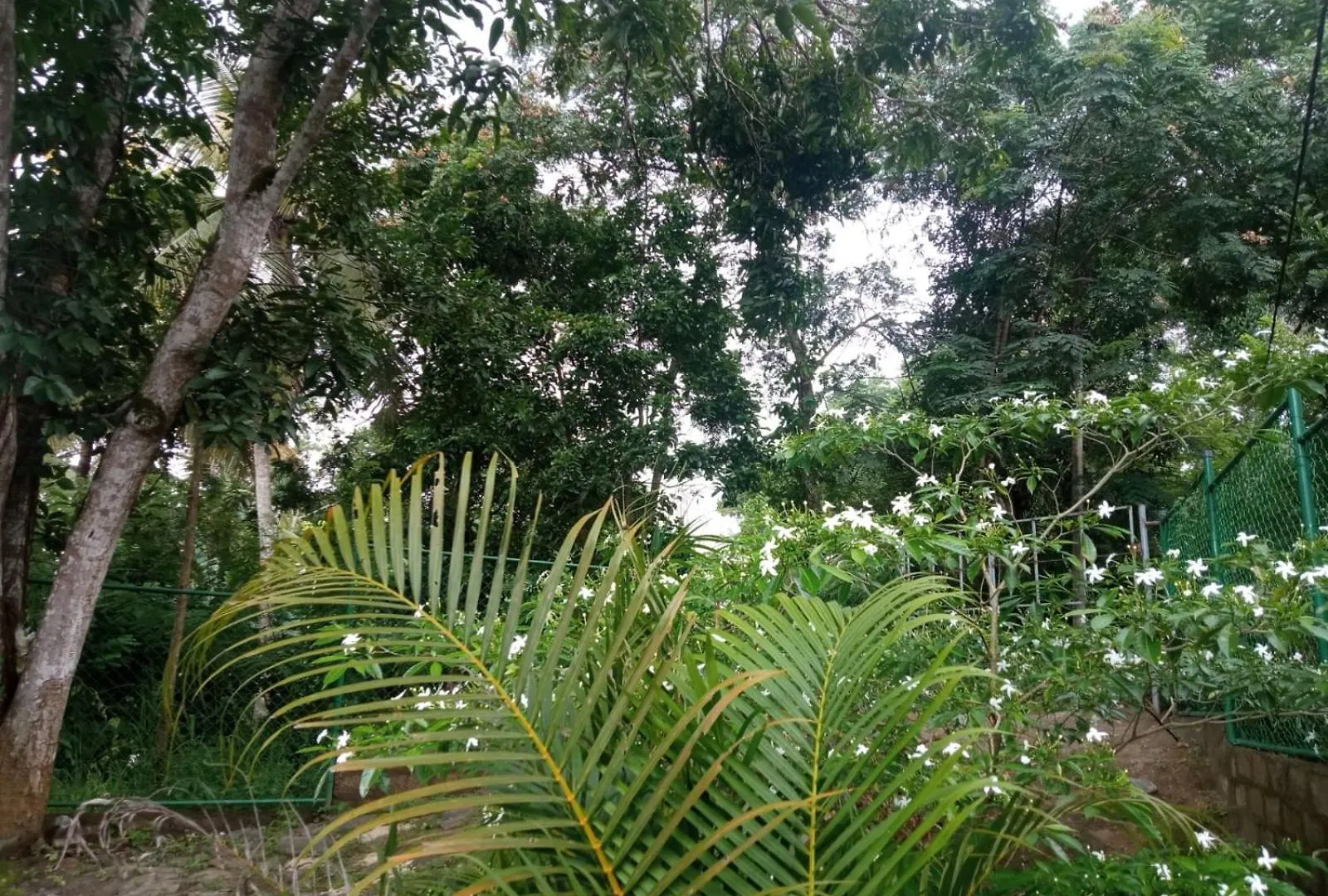 Homestay Kotuwegedera Dumbara Residency Apartment Kandy Sri Lanka